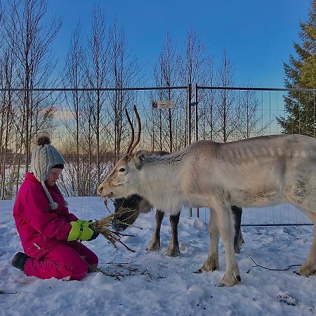 Beautiful Rural Experience With Reindeer Villa Tervola Eksteriør bilde