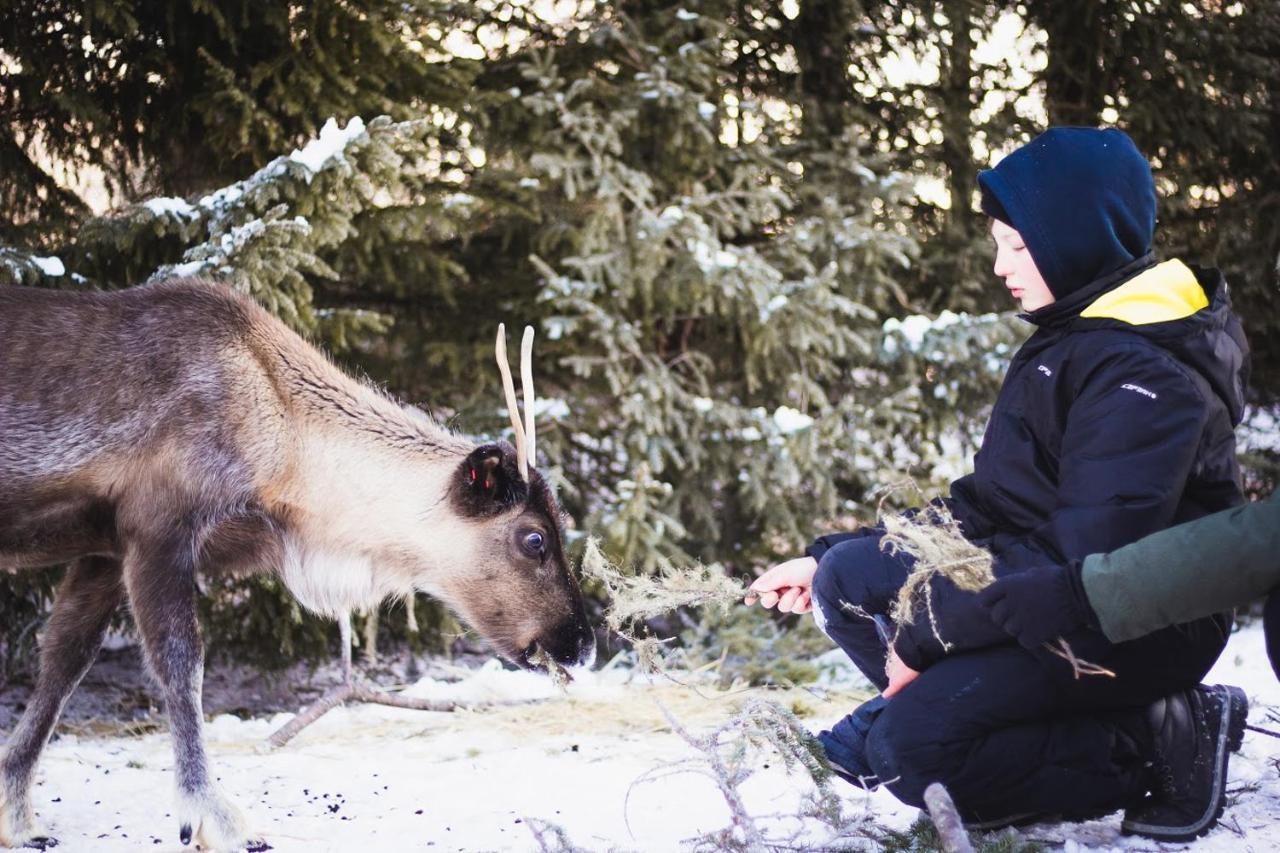 Beautiful Rural Experience With Reindeer Villa Tervola Eksteriør bilde