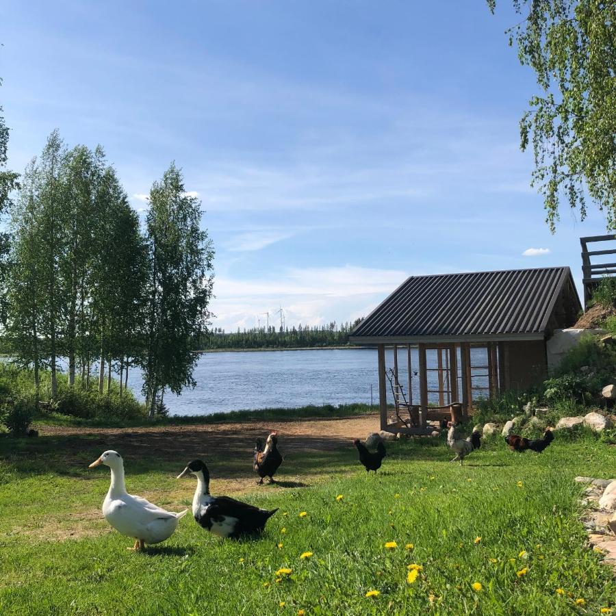 Beautiful Rural Experience With Reindeer Villa Tervola Eksteriør bilde