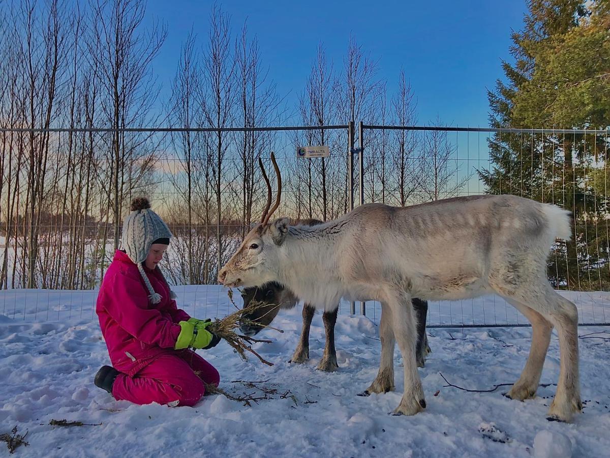 Beautiful Rural Experience With Reindeer Villa Tervola Eksteriør bilde