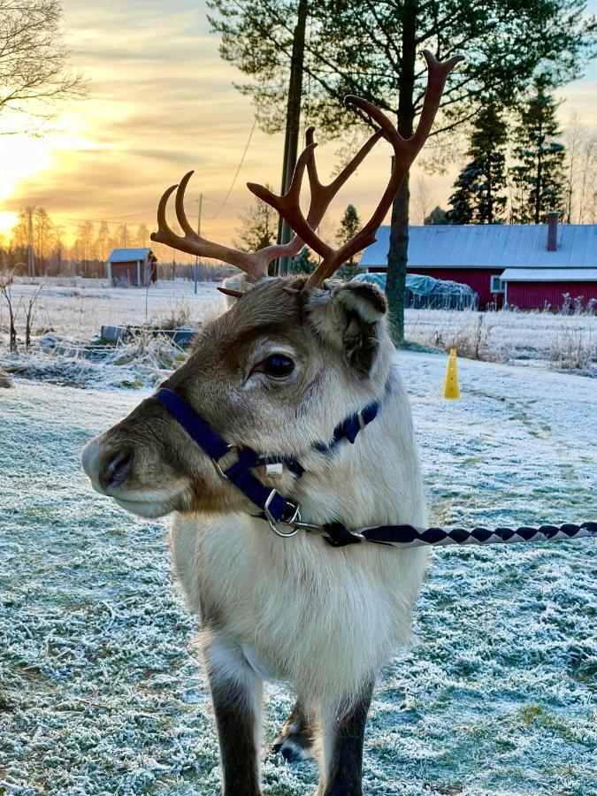 Beautiful Rural Experience With Reindeer Villa Tervola Eksteriør bilde